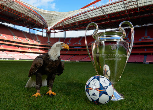 为队友发声，诺阿-朗社媒转发内雷斯捧杯照片并圈了安切洛蒂（诺阿-朗为队友发声：社媒转发内雷斯捧杯照并艾特安切洛蒂）